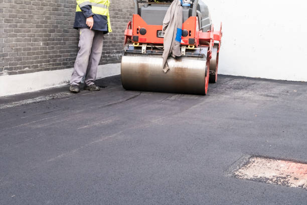 Best Driveway Pressure Washing  in Truth Or Consequences, NM